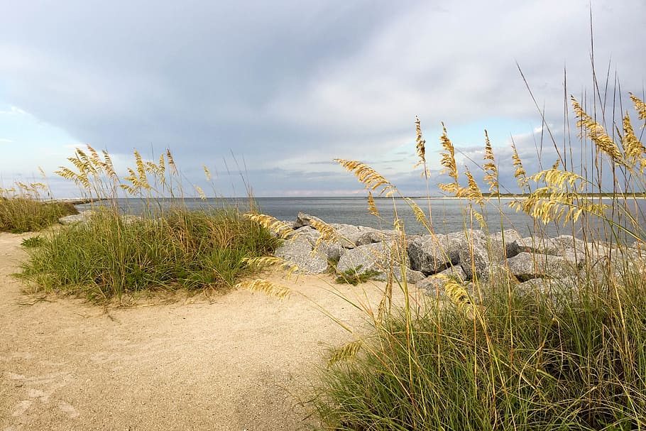 ocean, atlantic, beach, coast, sand, water, nature, shore, sea HD wallpaper