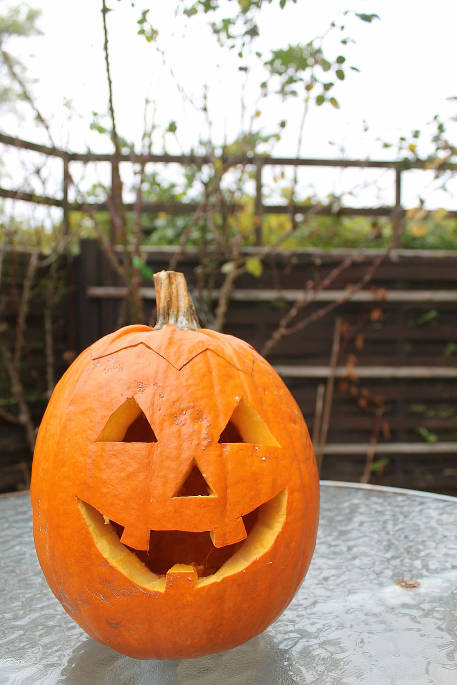 pumpkin, carving, halloween, face, jack-o-lantern, smiling HD wallpaper