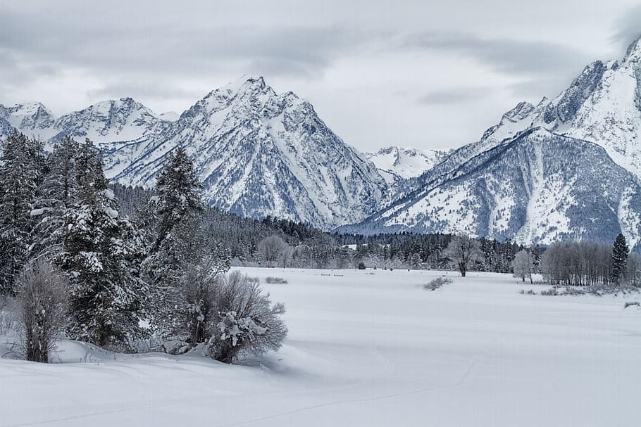 winter, snow, nature, cold, landscape, outdoor, mountain, extreme HD wallpaper
