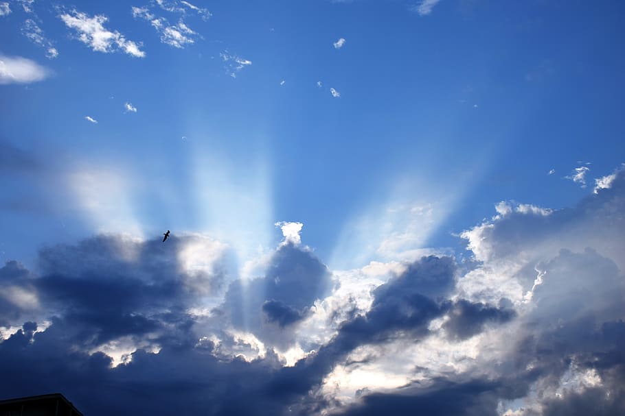 sunlight covered by clouds, sky, blue, sunset, summer, bird HD wallpaper