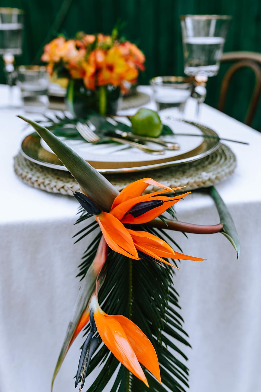 Colorful Exotic Flowers and Greenery, flora, leaf, leaves, tropical HD wallpaper