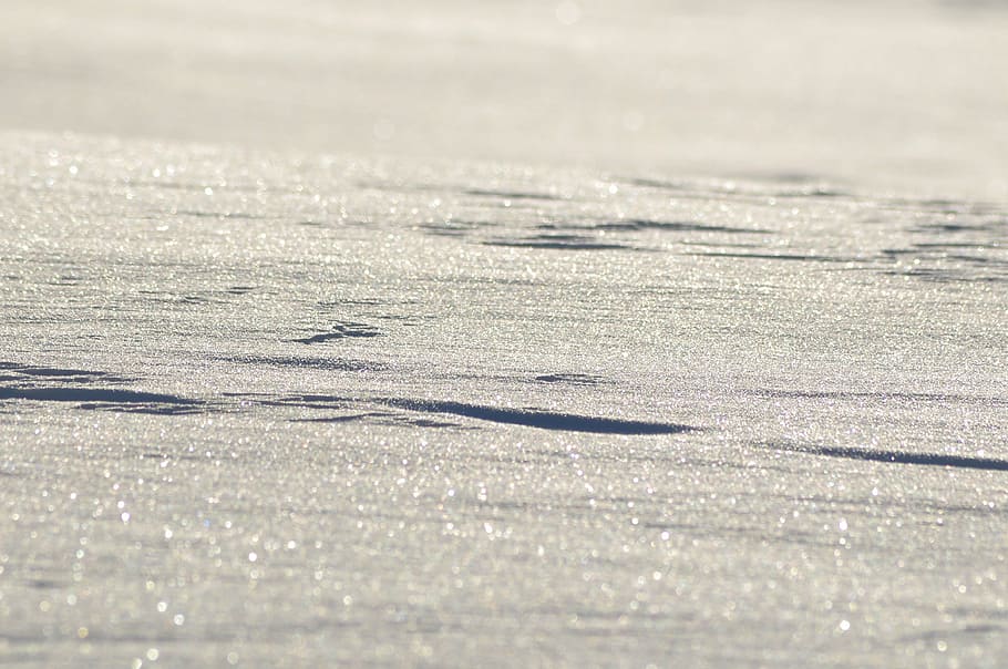 winter, snow, white, cold, frost, frozen, outdoor, black, icy HD wallpaper
