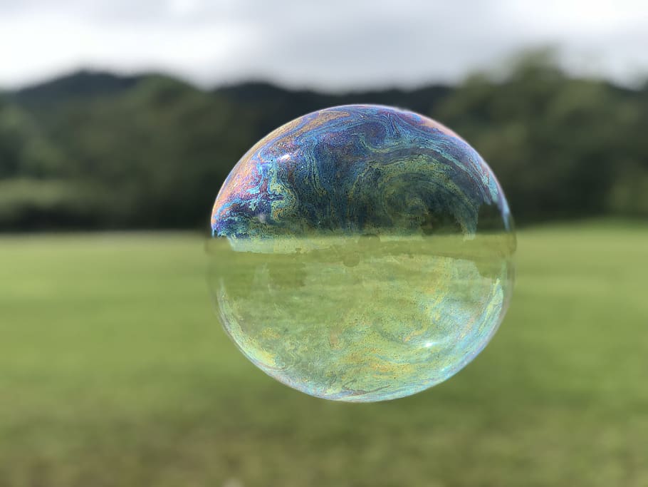 bubbles, natural, park, landscape, sphere, nature, reflection HD wallpaper