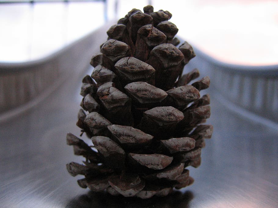 pine, cone, steel, slide, focus on foreground, indoors, no people HD wallpaper