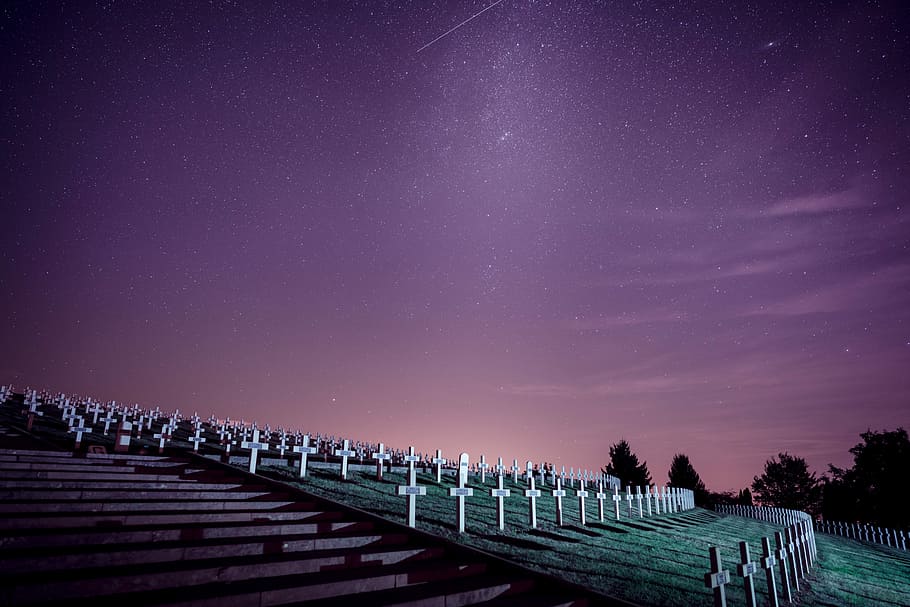 cemetery under starry sky, silhouette photo of cemetery near trees HD wallpaper