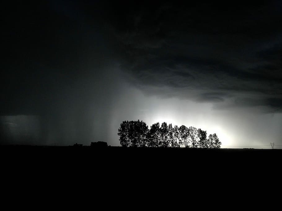 silhouette photo of trees, silhouette of trees, night, dark, sky HD wallpaper