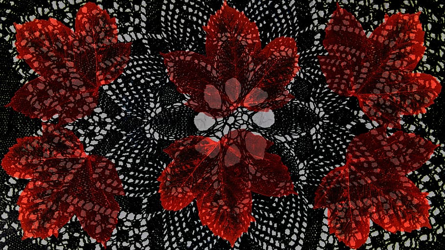 ziertuch, levels, graphic, red, close-up, no people, plant HD wallpaper