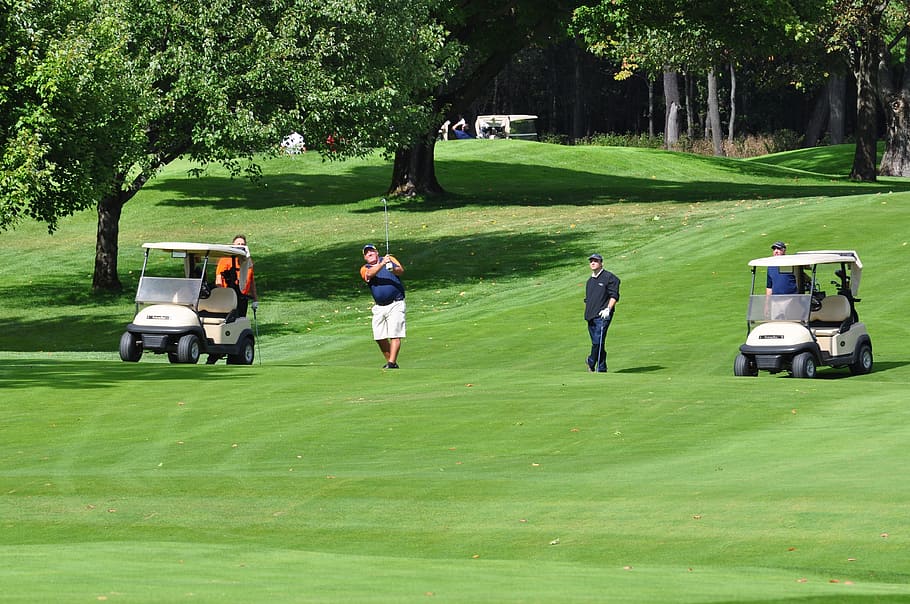 person playing golf on green grass field, golf carts, golfer HD wallpaper