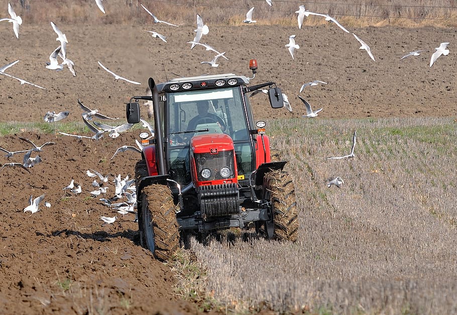 red tractor on farm field during daytime, agriculture, labour, HD wallpaper