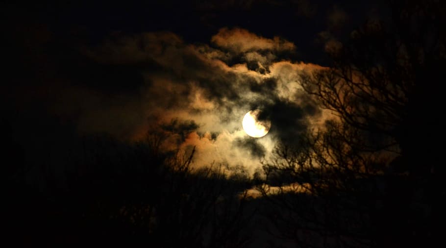 Night, Full Moon, Moon, Light, Dark, Dramatic, dusk, moonlight HD wallpaper