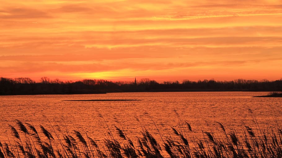 Sunset, Trees, Lake, Waters, silhuette, evening sky, twilight HD wallpaper