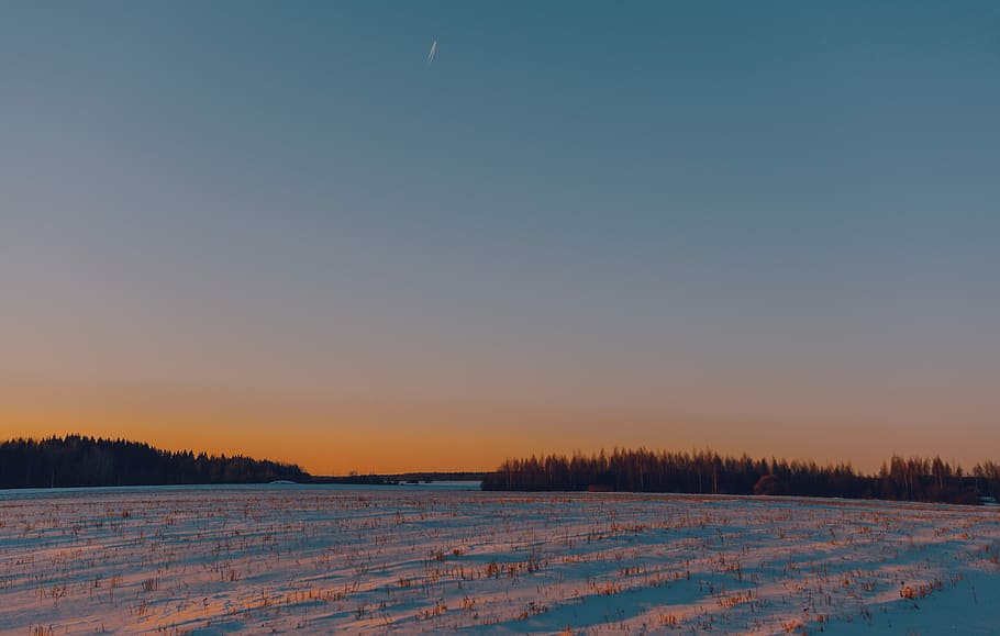 snow field during sunset, silhouette of trees at golden hour HD wallpaper