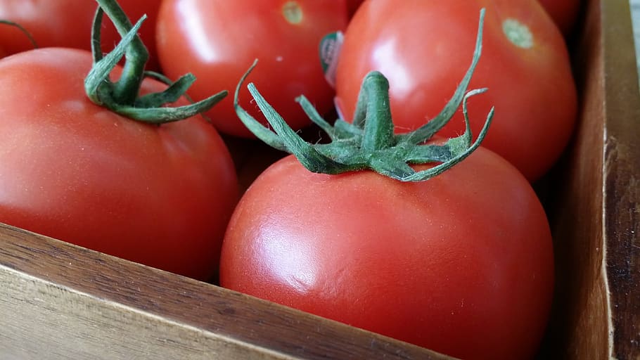 red, tomatoes, vegetables, food, food and drink, healthy eating HD wallpaper