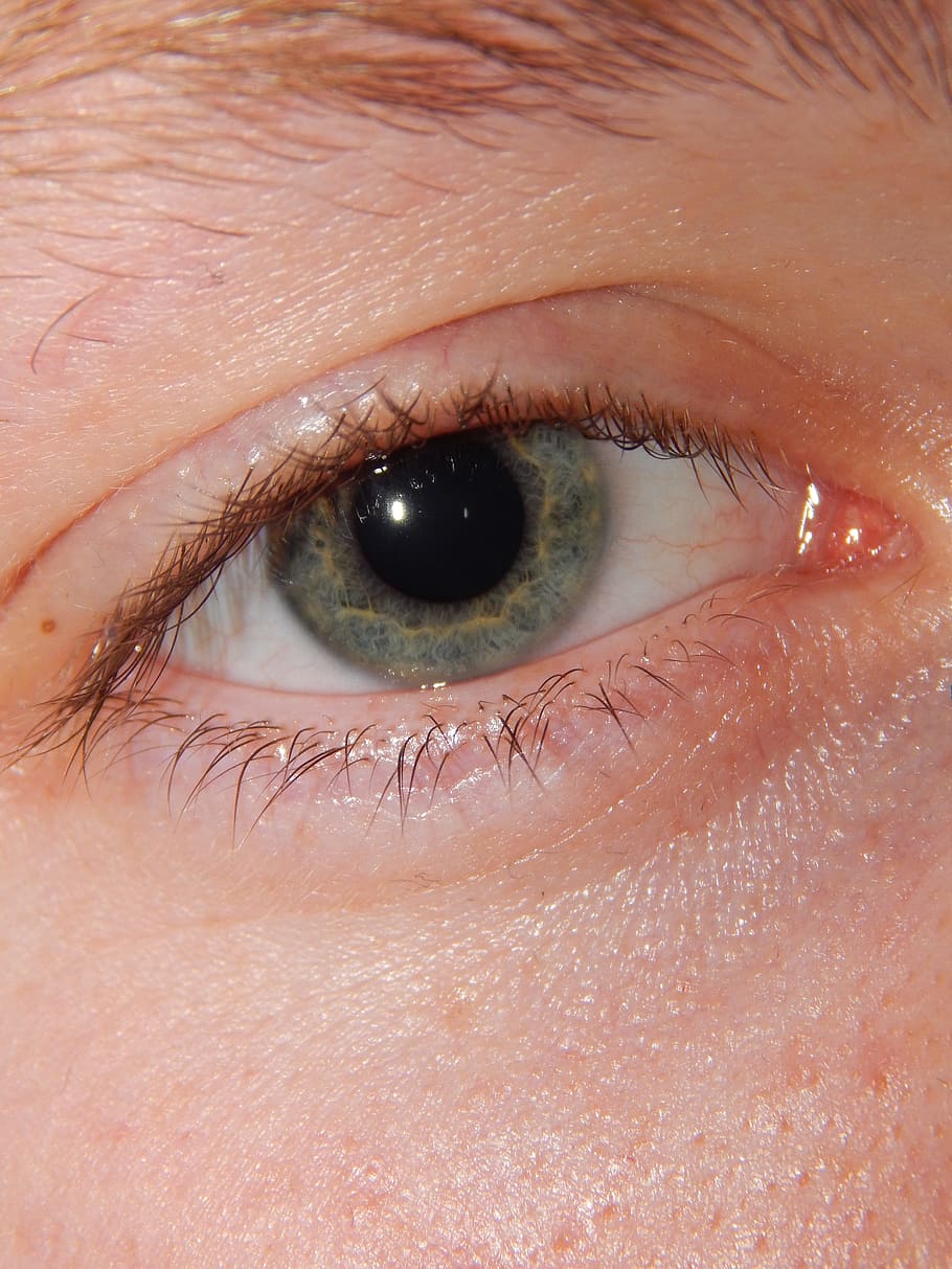 eye, boy, lukáš, macro, photo, human body part, human eye HD wallpaper