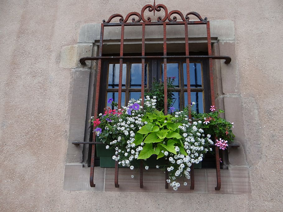 window, grid, flowers, sarrebourg, moselle, facade, house, tradition HD wallpaper