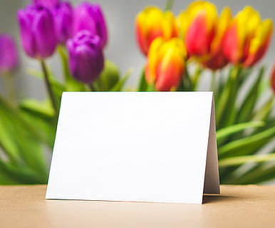 romantic, flowers, spring, blur, beautiful, blank, blooming, bouquet HD wallpaper