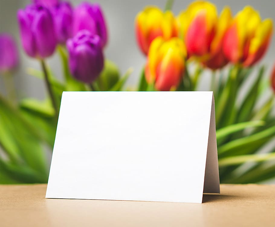 shallow focus photography of white paper in front of tulips, greeting, HD wallpaper