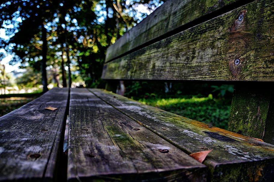 Wood, Sit, Bench, Seating, Textures, bench seating, nails, moss HD wallpaper