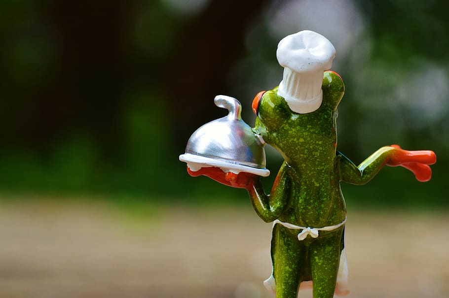 frog, cooking, eat, kitchen, gourmet, food, preparation, funny HD wallpaper