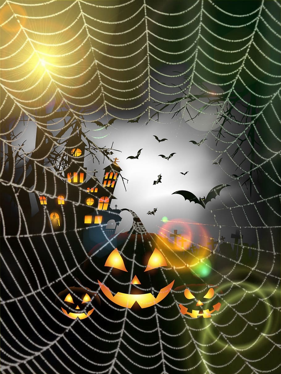 helloween, pumpkin, moon, bats, witch's house, cobweb, happy halloween HD wallpaper