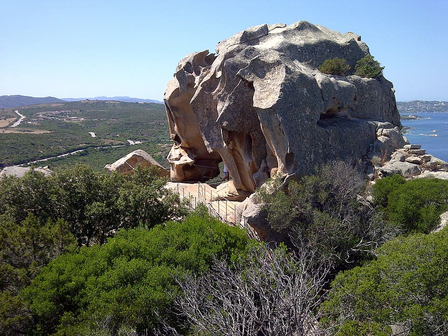 capo d'orso, sardinia, rock, nature, plant, mountain, tree HD wallpaper