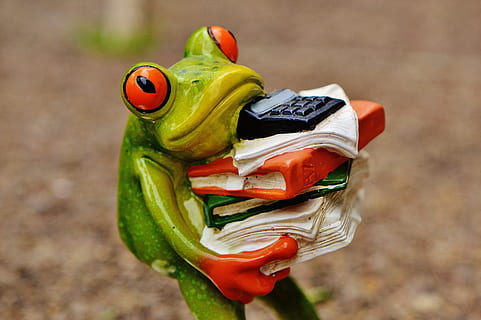 close up photo of green frog carrying books and calculator ceramic figurine HD wallpaper