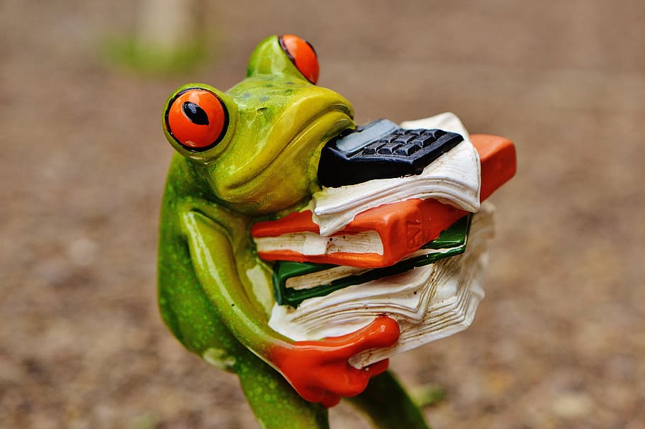 close up photo of green frog carrying books and calculator ceramic figurine HD wallpaper