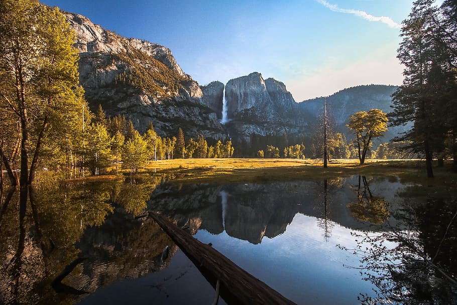 body of water near mountain range, wood log on lake near tall trees and high rise mountain HD wallpaper