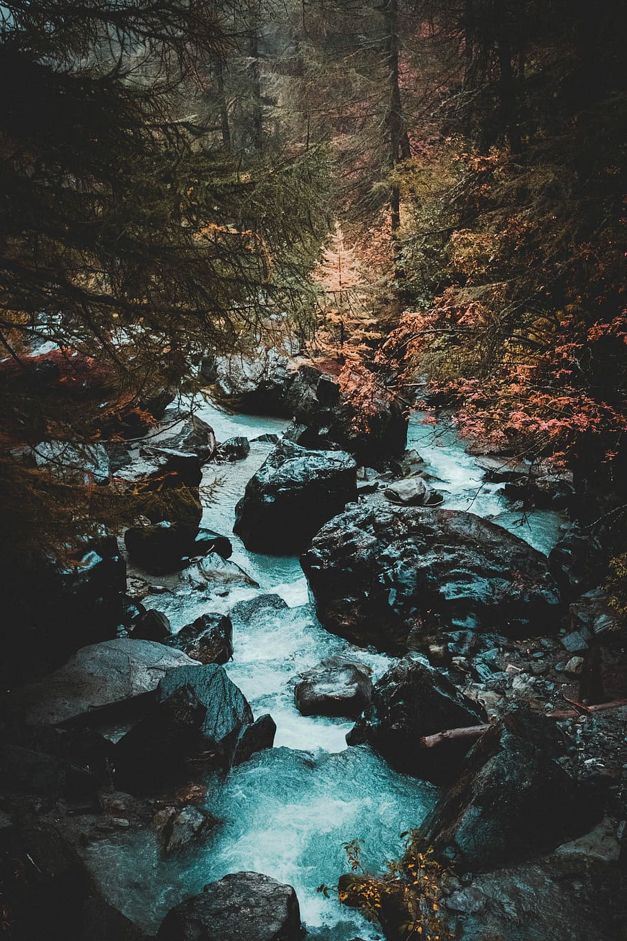 gray rocks in river between trees, river during daytime, mountain HD wallpaper
