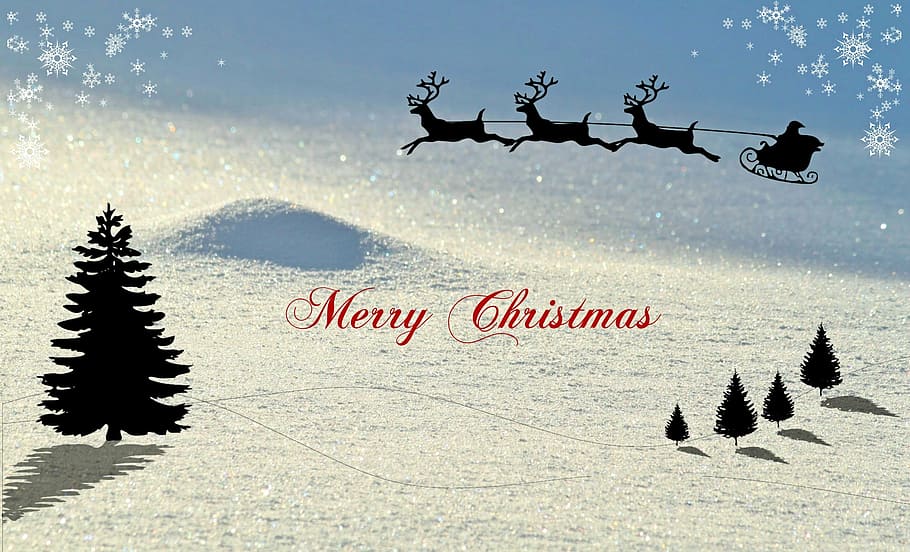 Merry Christmas text illustration, christmas card, winter, snow landscape
