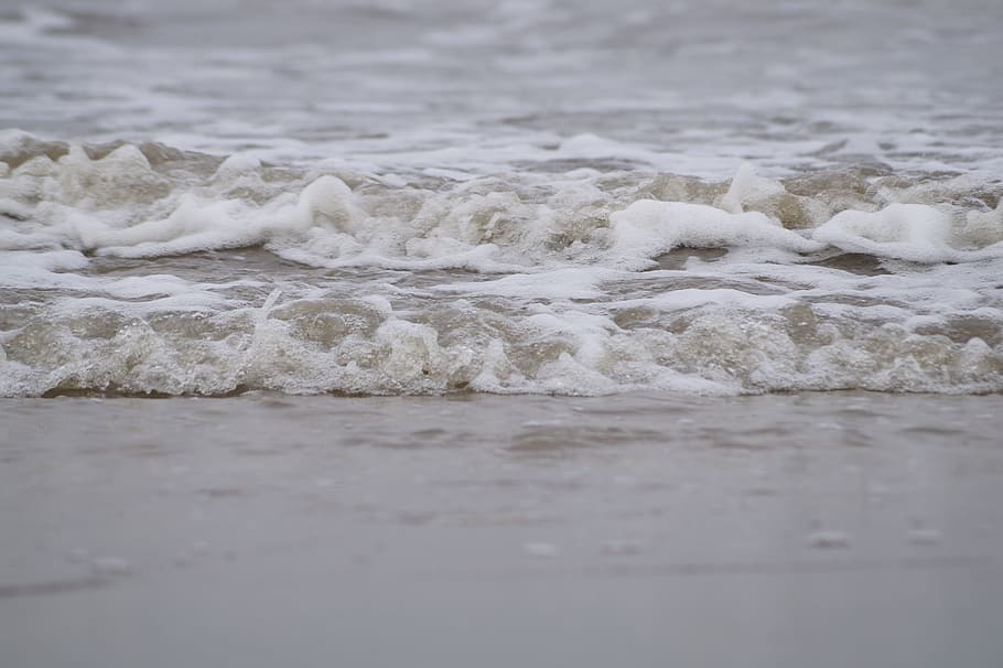 water, ocean, se, beach, motion, sea, wave, aquatic sport, surfing HD wallpaper