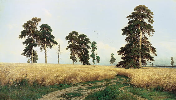 gray grass near tree under blue sky, grain, wheat, rye, rye field HD wallpaper