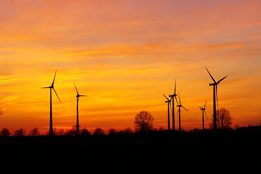 wind mill field, windräder, sunset, wind energy, evening sky HD wallpaper