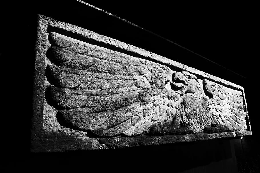 engraved, stone, black, white, grey, adler, germany, wing, no people HD wallpaper