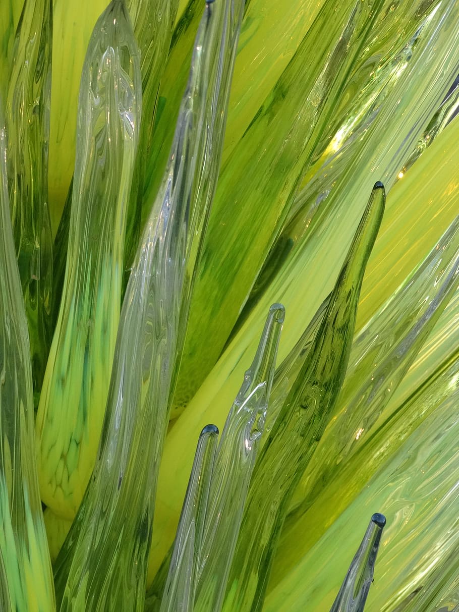 art glass, chihuly, green, design, green color, growth, plant, HD wallpaper