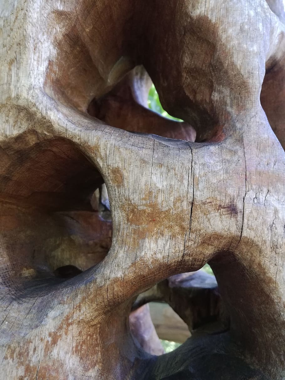 tree, hole, nature, close-up, no people, body part, day, full frame HD wallpaper