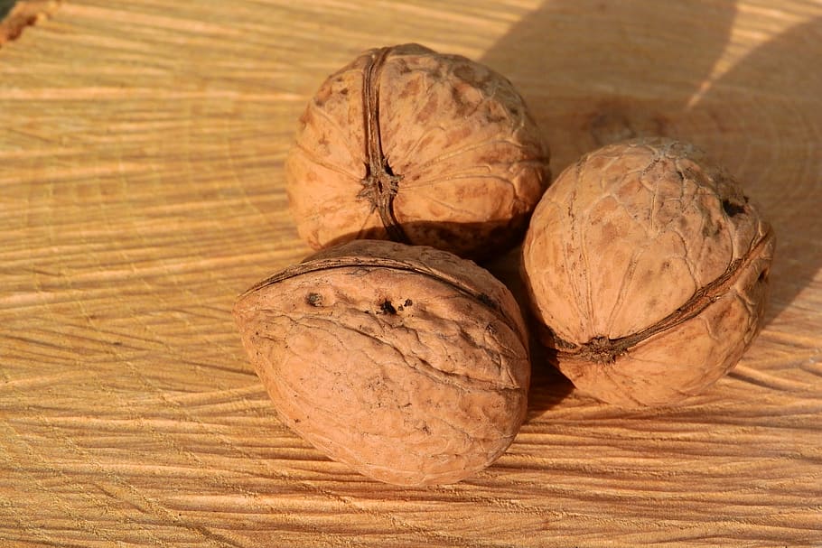nuts, walnuts, shell, food and drink, wellbeing, healthy eating HD wallpaper
