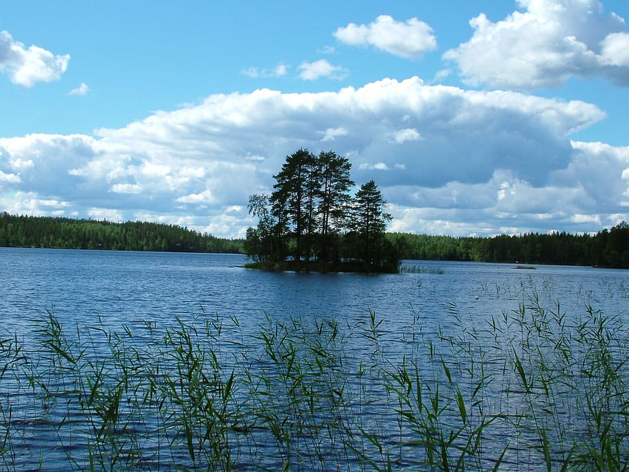 lake, island, small, trees, finnish, reeds, sky, clouds, water