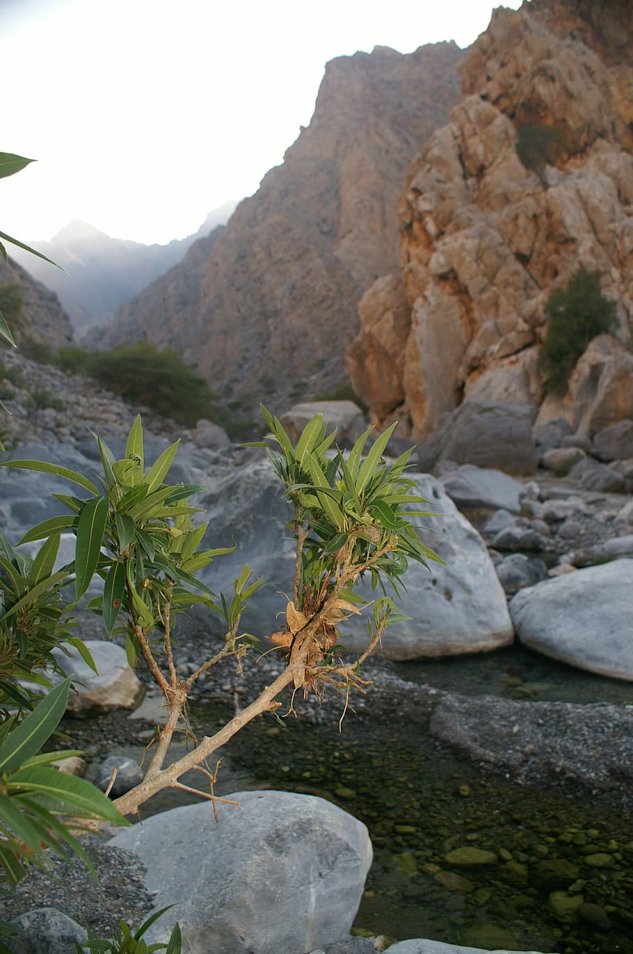 Oman, Wadi, Mountains, rock - object, rock formation, day, nature HD wallpaper