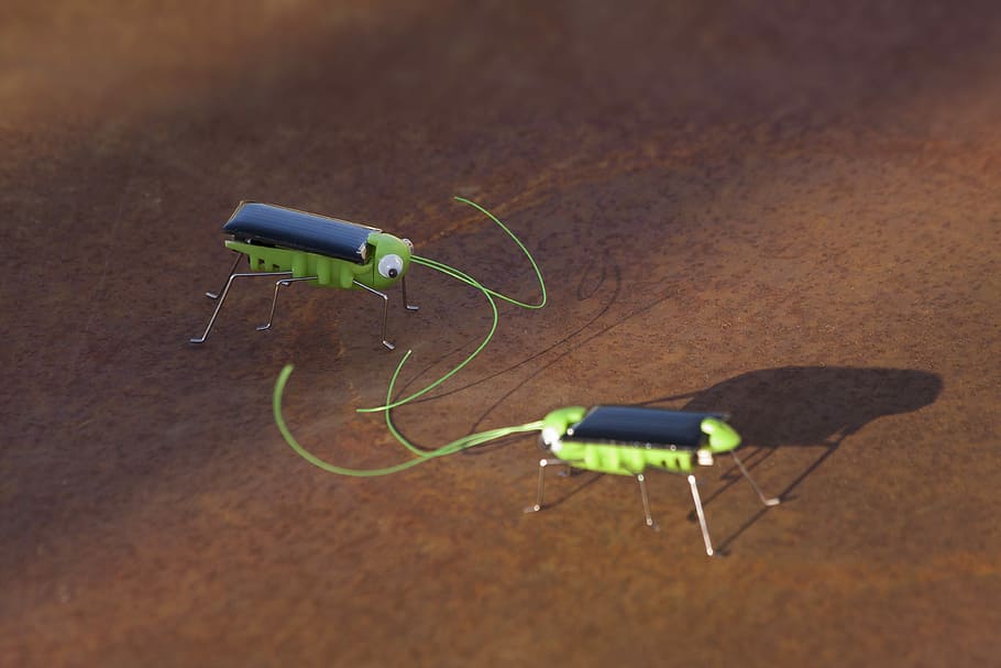 beetle, toys, photovoltaic, solar cell, cable, technology, connection