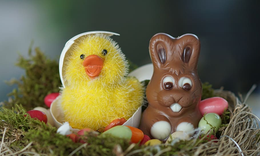 duck and bunny toy on basket, easter nest, easter eggs, happy easter