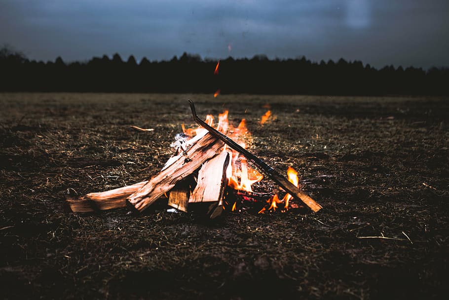 action, burn, campfire, dawn, dusk, evening, field, firewood HD wallpaper