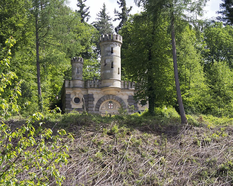 castle, waterworks, freiburg, forest, picturesque, forward, HD wallpaper