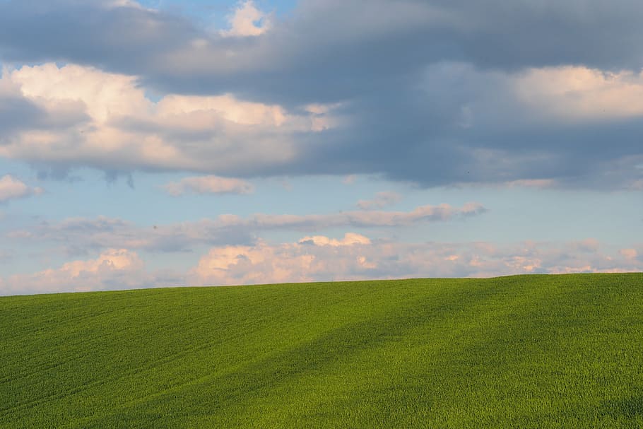 green field under white cloud formation at daytime, sky, grass HD wallpaper