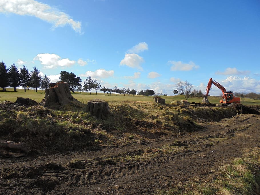orange excavator near pine trees during daytime, Tree Felling HD wallpaper