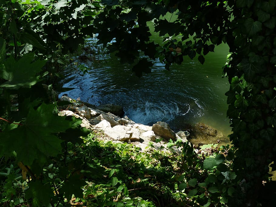 water, source, bubble, bach, river, stones, idyll, plant, nature HD wallpaper