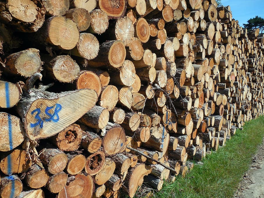 wood, tree trunks, forestry, log, timber industry, cut down