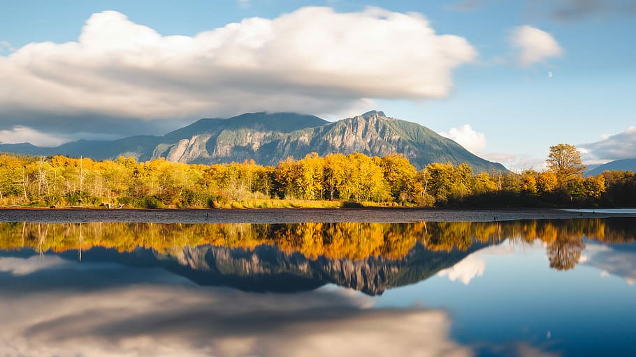 brown forest near body of water photo, body of water beside trees HD wallpaper
