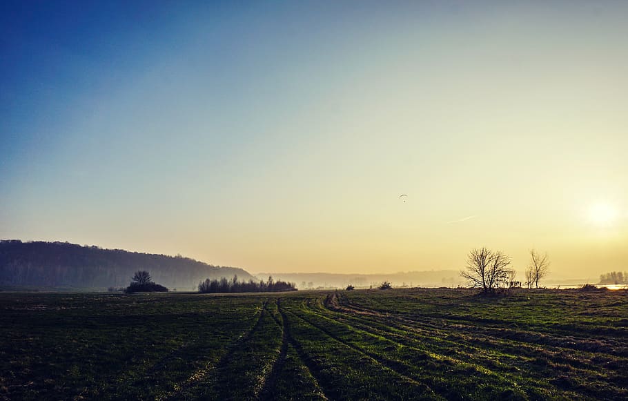 green lawn field under blue sky, grass, sunset, landscape, rural HD wallpaper