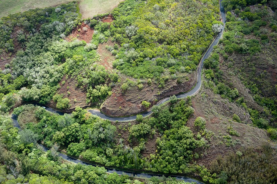 aerial photography of winding road surrounded with trees, aerial photography of river surrounded with green trees HD wallpaper